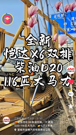 全新愷達(dá)X6柴油雙排，德威D20-116匹大馬力。